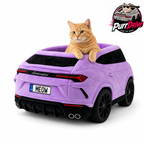 Lit de Luxe pour Chat — Design Voiture de Sport