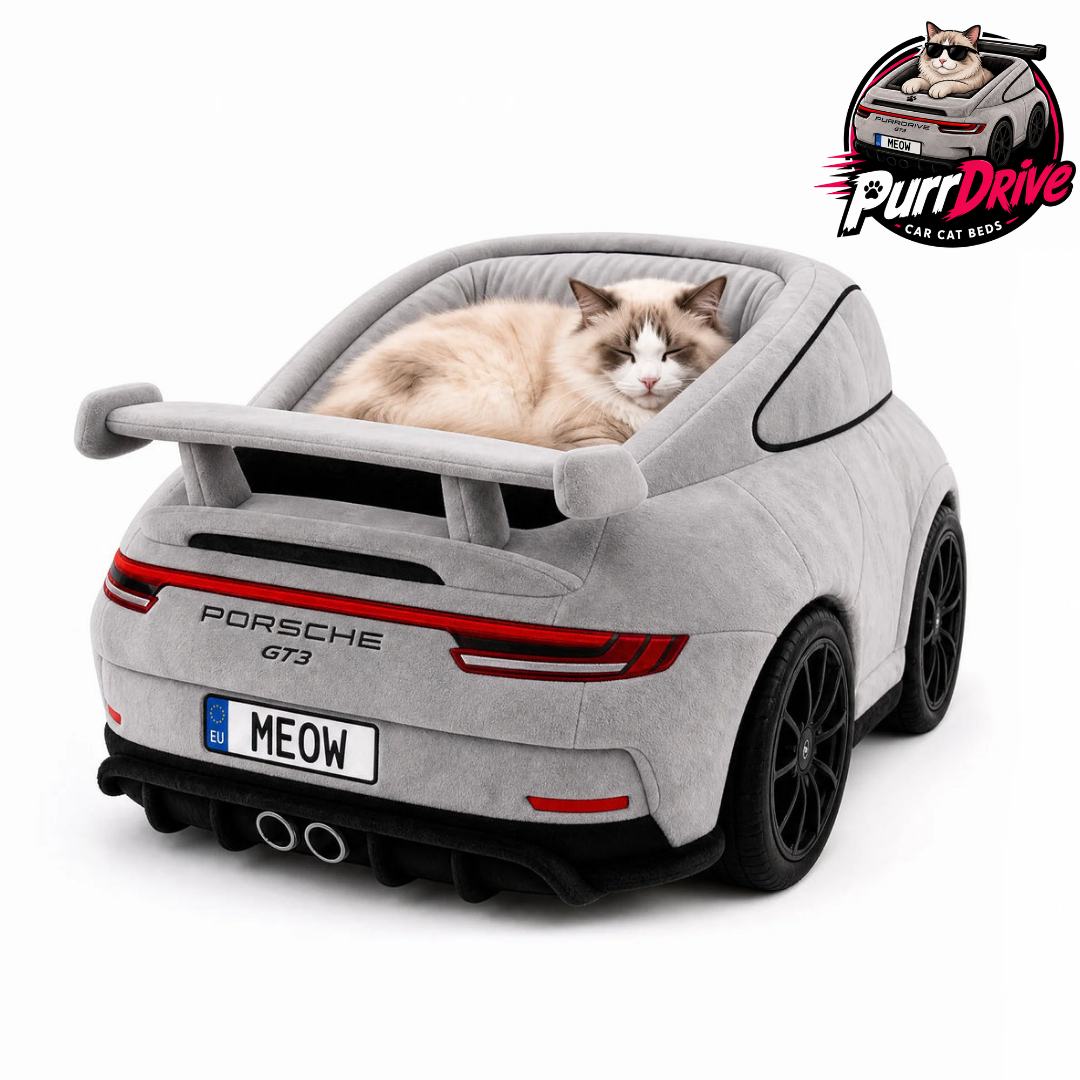 Lit de Luxe pour Chat — Design Voiture de Sport